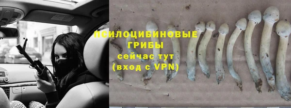 мяу мяу кристалл Лабытнанги