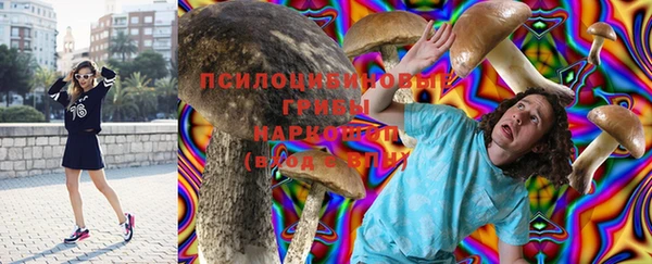 МДПВ Ладушкин