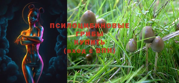 мяу мяу кристалл Лабытнанги